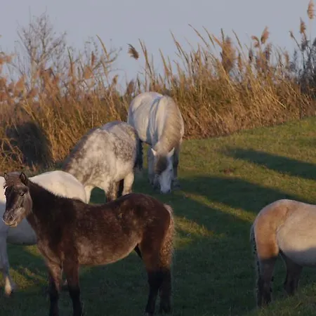 Villetta Marfisa Лидо-ди-Спина