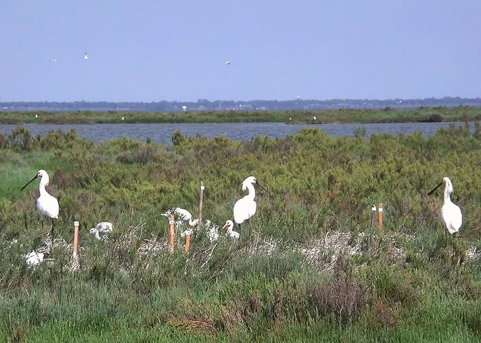 Marfisa Villa Lido di Spina